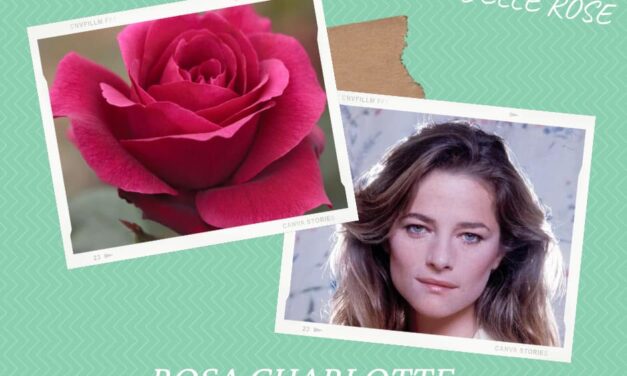 Le Rose Dedicate alle Donne – Charlotte Rampling