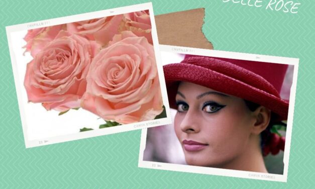 Le Rose Dedicate alle Donne – Sophia Loren