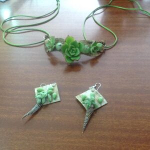 Parure di piante grasse succulente
